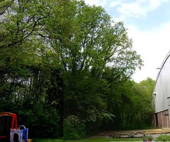 zone naast de sporthal