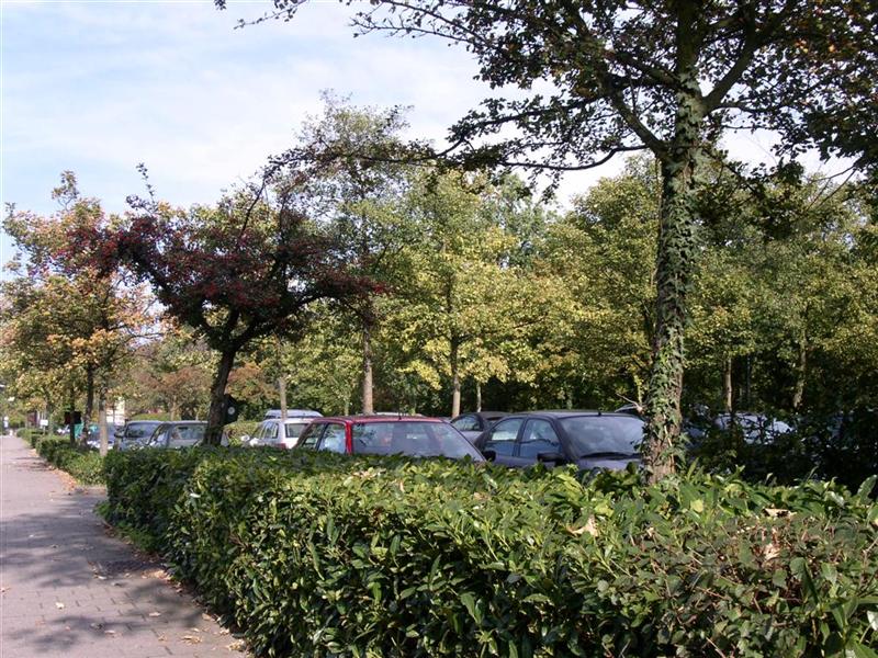 parking achter stadhuis